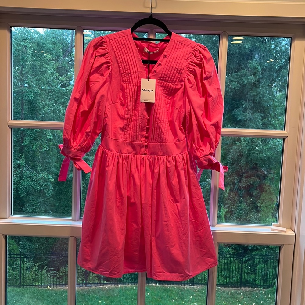 Never Worn Pink Puffy Sleeve Mini Dress